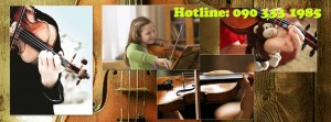 violin violin